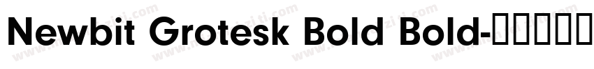 Newbit Grotesk Bold Bold字体转换
